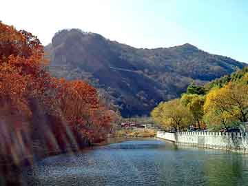 新澳天天开奖资料大全旅游团，红狼犬